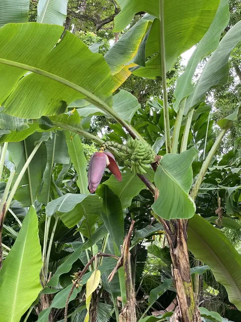 Central Fire Station in Singapore 🚒