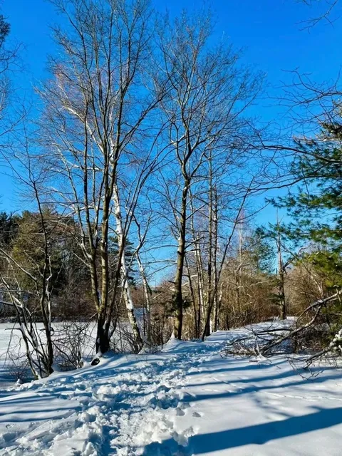 Boston Weekend | Hiking Blue Hills Skyline🏔