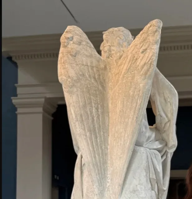 🏠 Albany Museum of Art