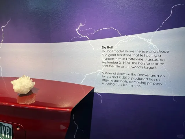 🏛️ MesaLab Half-Day Adventure | Boulder, CO