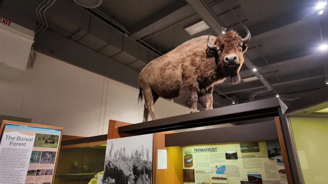 Alaska Fairbanks Slow-Travel Diary ✨