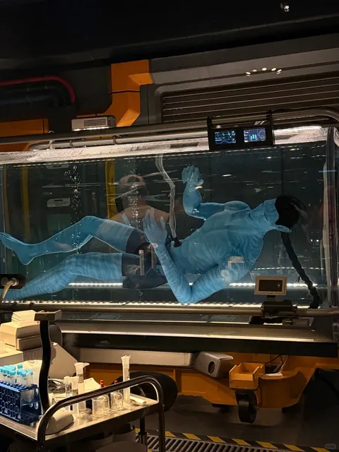 Disney Magic Kingdom 🏰｜Thanksgiving Day: 90% Rides