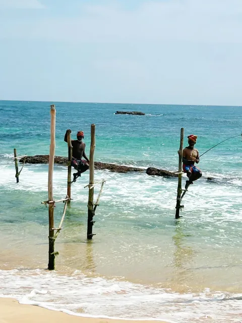 Travel  guide in Sri lanka day8:FromMirissa to Galle