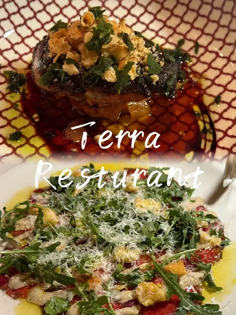 🇨🇦 Toronto Italian Gem | Terra - Where Beef Tartare Steals the Show 