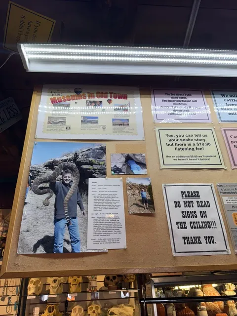 🌄 New Mexico | Half-Day Itinerary in Albuquerque