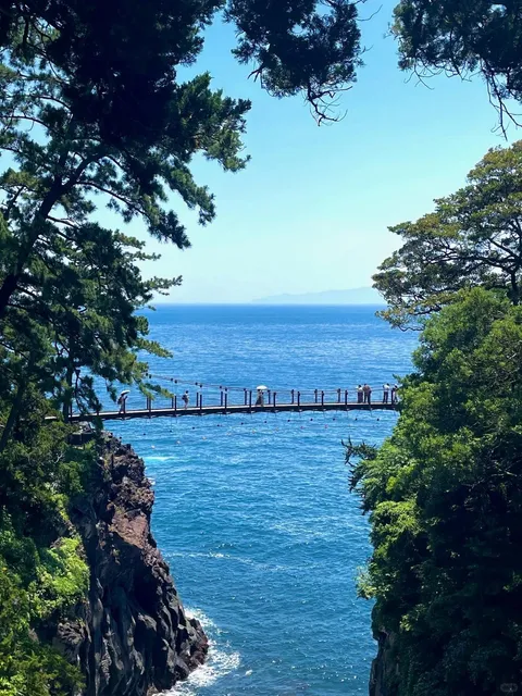 Izu | Jogasaki Coast Was Way More Beautiful Than I Expected (2)🌊