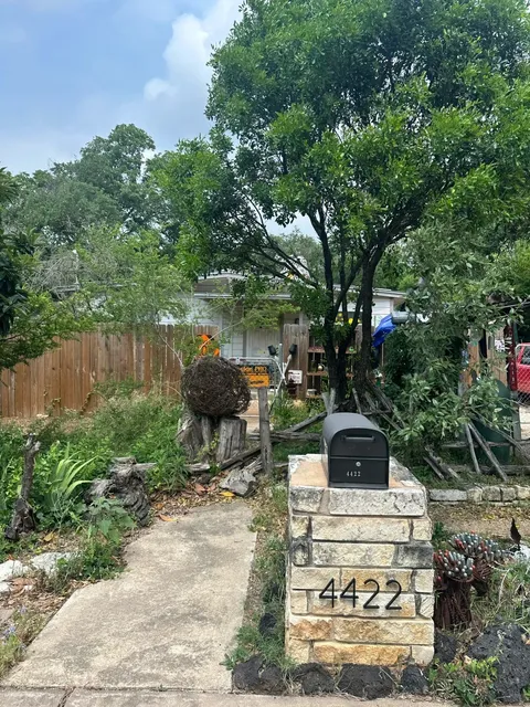 Austin's Hidden Gem: The Secret Cathedral of Junk 