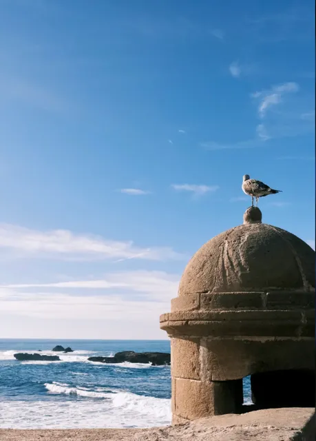  Essaouira: Morocco’s #1 Sunset Spot​​