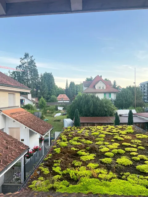 A Swiss Homestay & Grandma Landlord Worth 