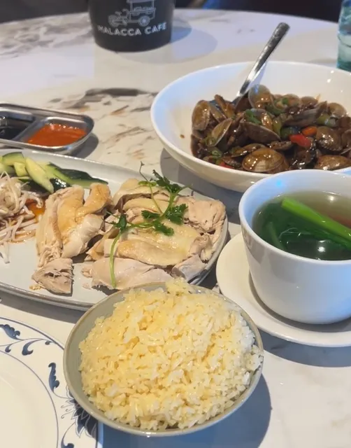 Dallas Explore📍 Southlake's Delicious Hainanese Chicken Rice