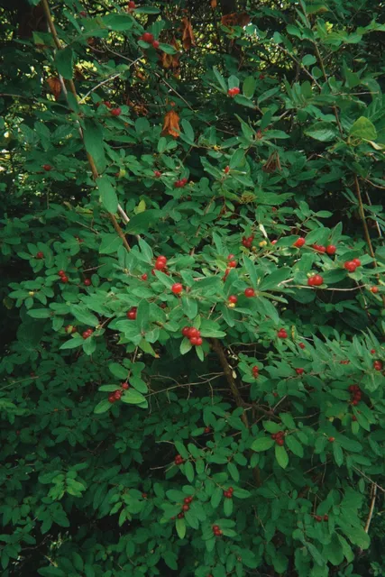 Top Places to Visit in Boston 19/100