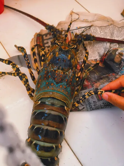 Daily Fun Fact: Mombasa's beaches are stunning, fun, and crazy afforda