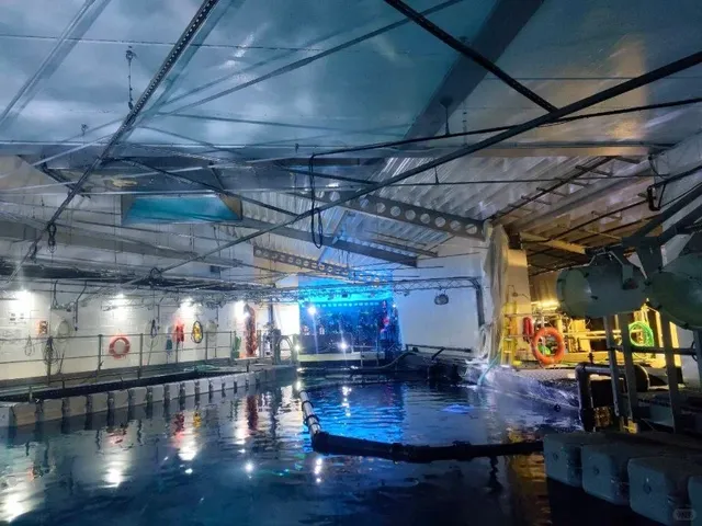 Travel Diary: Hull & The Deep 🌊