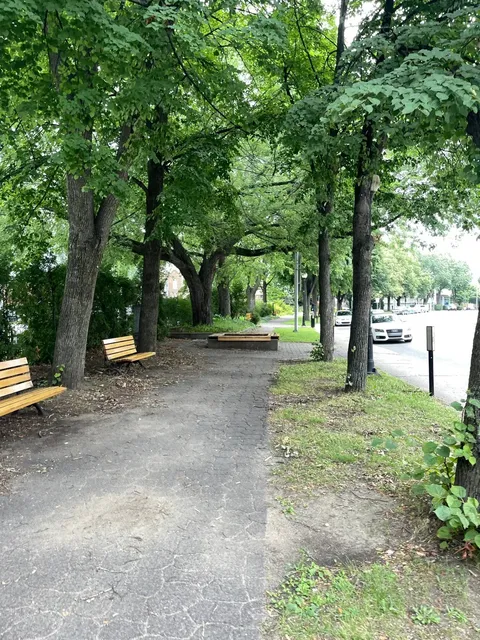 🇨🇦 Quebec City & Trois-Rivières: A Whales, Woods & Savings Adventure