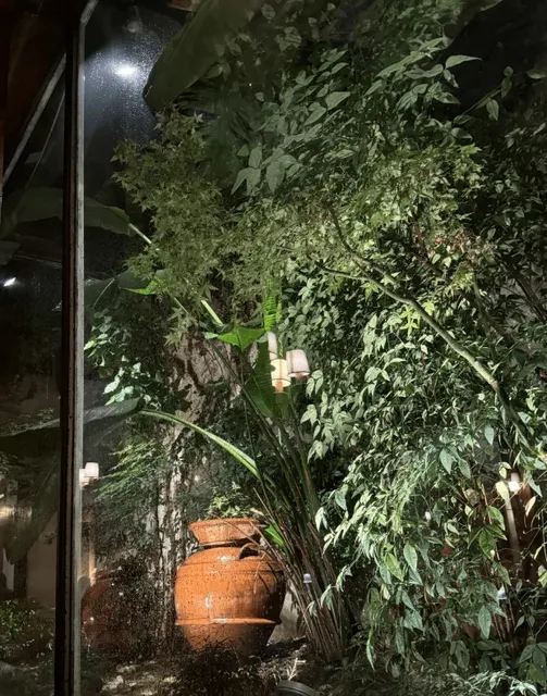 Florence's most photogenic and atmospheric restaurant