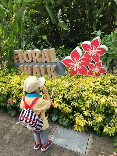 Hidden Gem for Family Outings in Singapore 🌿: HortPark 🌳