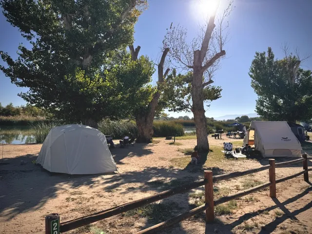 Beginner-Friendly Desert Oasis Camping Park 🏜️🏕️