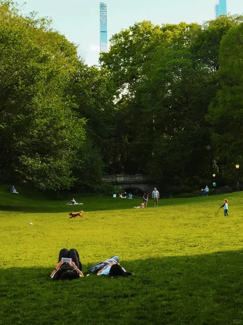 Bridgeport's Hidden Gem: The Ultimate Guide to Chicago Central Park! 