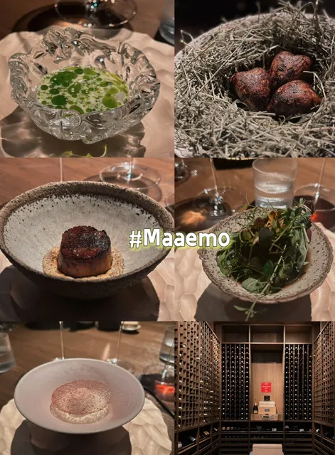 Is Norway's Michelin Dining Worth It? 🍽️