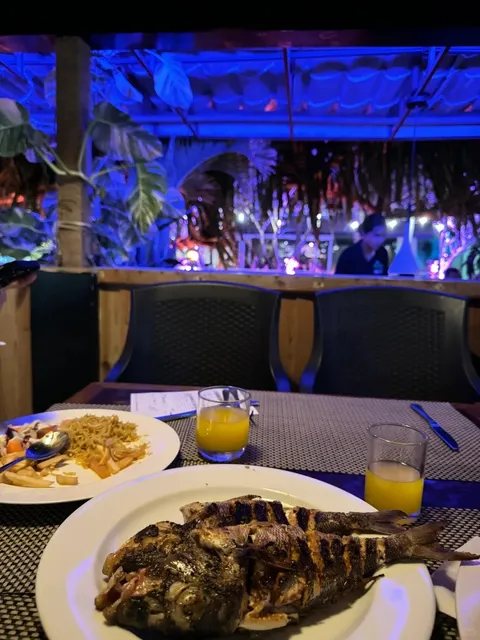 🌴 Maldives Adventure: Maafushi Edition! 🇲🇻