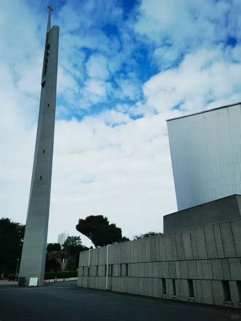 Tokyo Free Trip (1)🌟