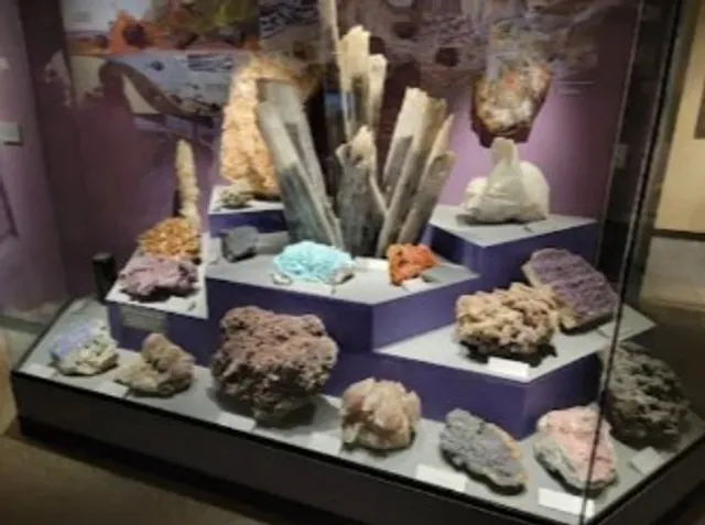 Cleveland Museum of Natural History |A Journey Through Earth's Wonders