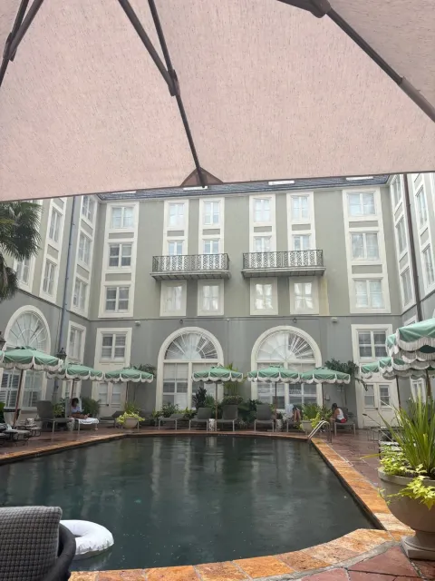 Highly Recommended! ⭐⭐⭐⭐⭐