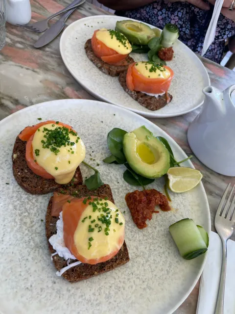 🚤 A Colorful Canal Brunch – A Unique & Lovely Morning! 🚤