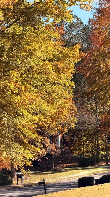 🍁 Forever in Love with Atlanta’s Autumn