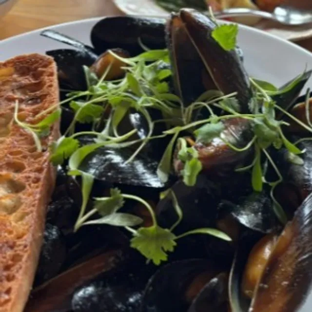 New Scenic Cafe 🍽️🌲