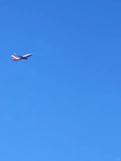 Los Angeles | The Iconic Pink Wall & Melrose Street Vibe 🌸📸
