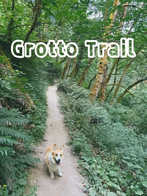 ​​St. Edward State Park's Hidden Gem: Grotto Trail 🏞️🐾​​