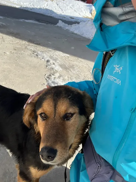 🇳🇵 Ultimate Budget Guide: Lhasa to Nepal Overland for Just 464 RMB!