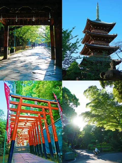 🌿🍃 Tokyo Surrounding 1️⃣-Day Tours 🌸🌺