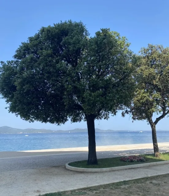 Croatia 🇭🇷 Zadar Scenery