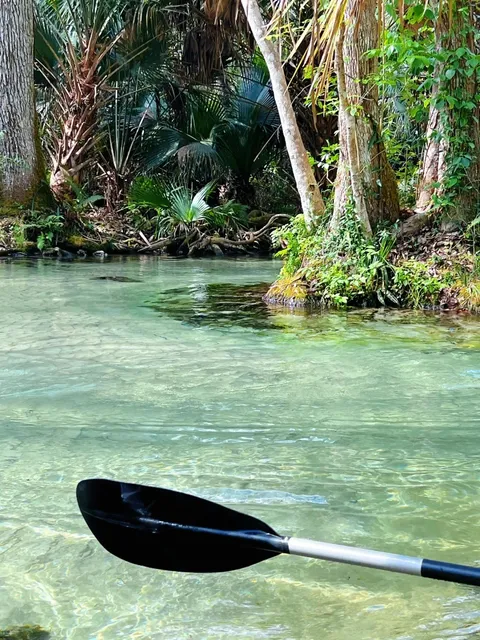 🇺🇸 Orlando 🌊 Kelly Park Rock Spring — A Must-Visit Hidden Gem!