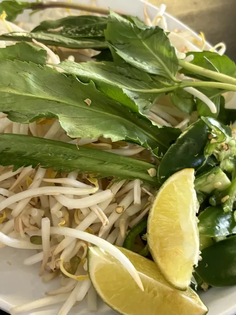 Philadelphia Affordable Food | Pho Ga Thanh Thanh