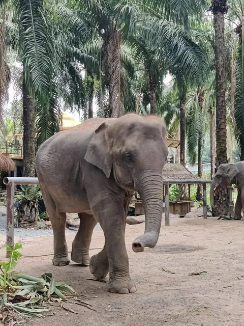 Krabi, Thailand | Budget Travel Guide (¥3,000/person)