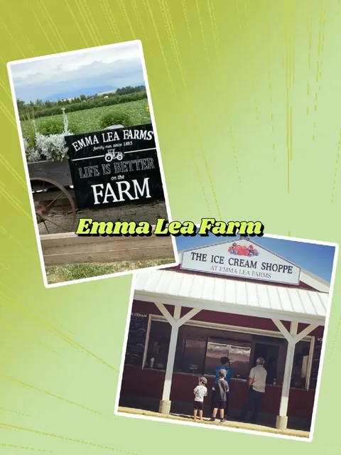 🇨🇦 ​​Vancouver's Best U-Pick Farms | Summer Fruit Adventure!​​ 🌞🍓