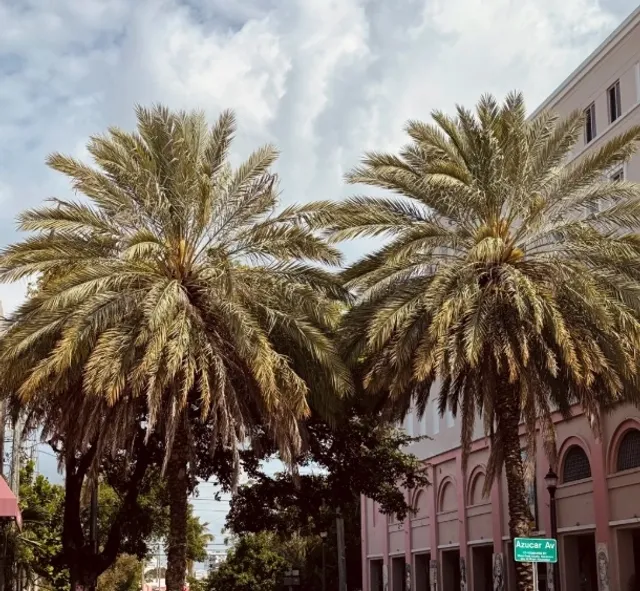 Miami · Travel Guide｜Must-Visit Attractions