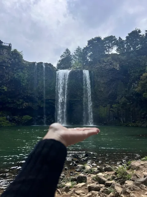 🇳🇿 Whangārei Nature Escape: A Serene Day Trip