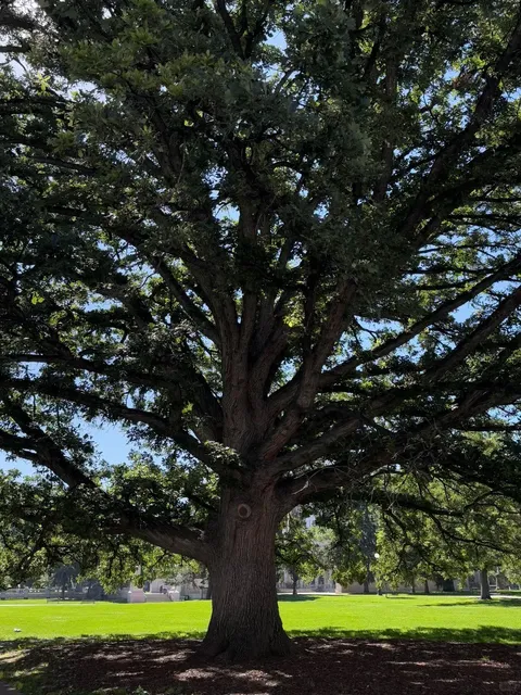 Denver 3-Day Itinerary | Explore the Mile-High City! 🏙️