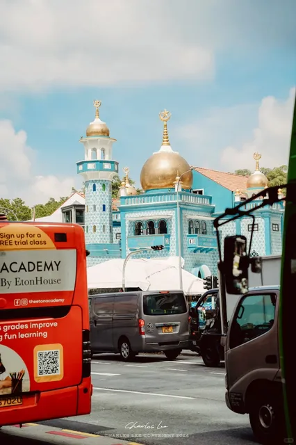 Amazed by Singapore's Cultural Diversity! 🌸🌺