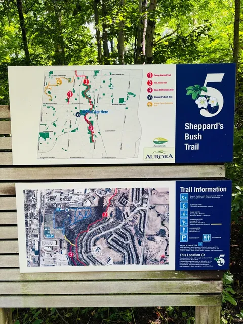 The Hidden Gem Trail Between Aurora and Oak Ridges 🌿🐕