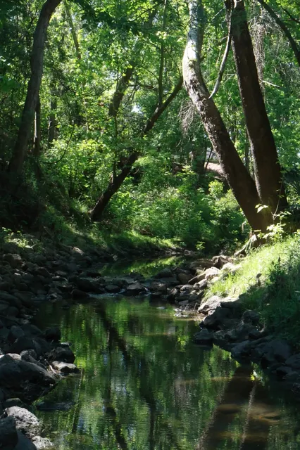 🇺🇸 Houston's Hidden Oasis: Edith L. Moore Nature Sanctuary 🌿📸