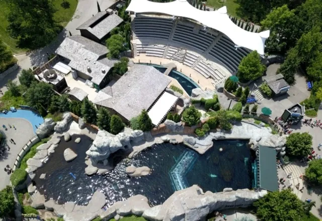 Award-Winning Exhibit Tour | Sea Lion Sound at St. Louis Zoo