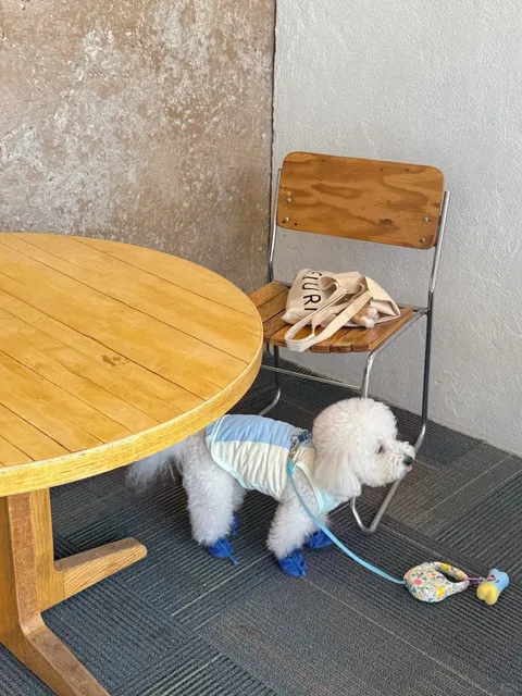 🐕‍🦺 A Trip with My Pup 🦮🌺