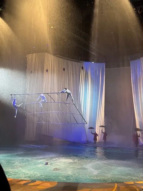 🇺🇸 Shows in Vegas That Are Totally Worth It! 💃🏼・🎪・🧠