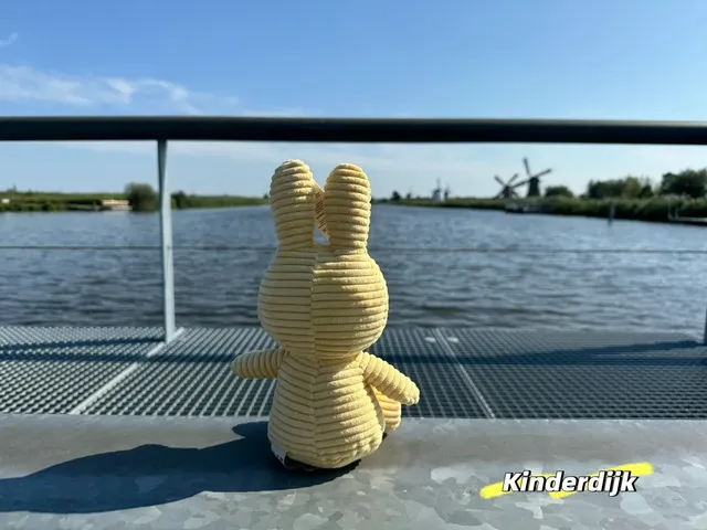 🇳🇱 Ultimate Dutch Day Trips Guide (Part 3)