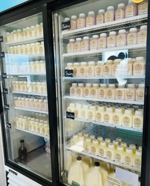 Plano Farm in Dallas 🌟 Drinking Yogurt While Watching Cows